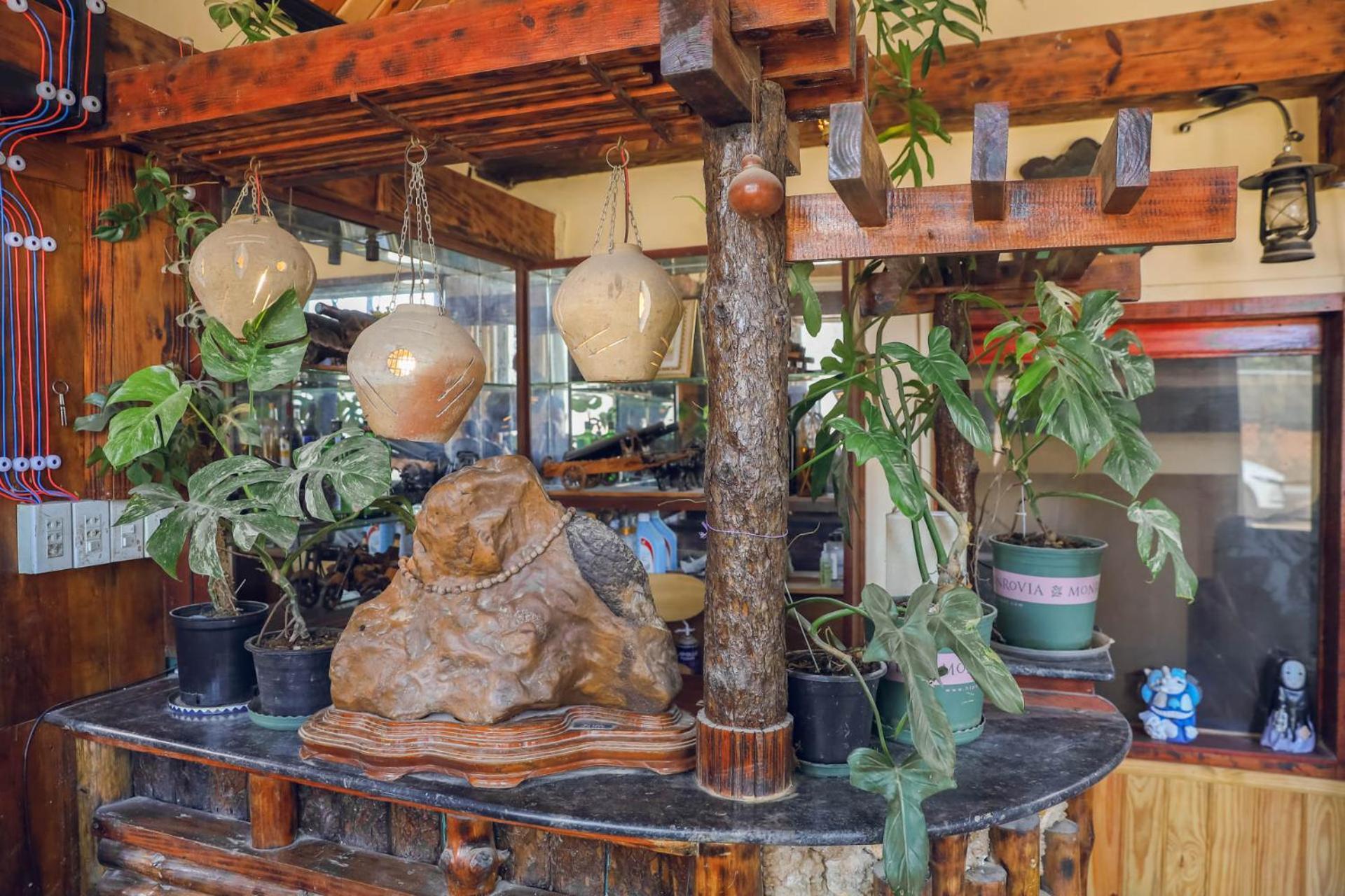 Ziczac Homestay Đà Lạt Da Lat Exterior foto